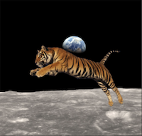 How to Copy Objects Between Photos