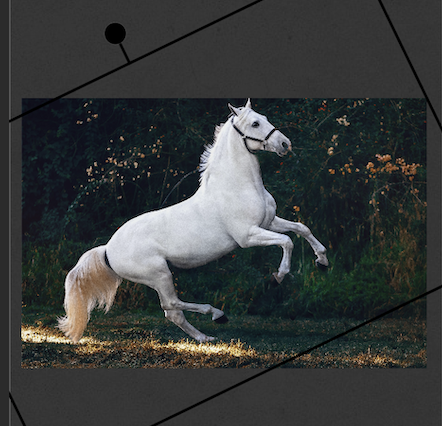 How to Move an Object on the Photo